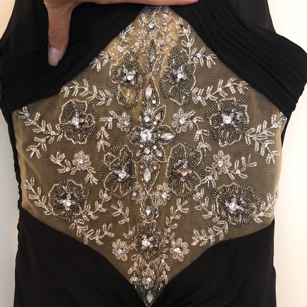 Absolutely Stunning Terani Gown.
